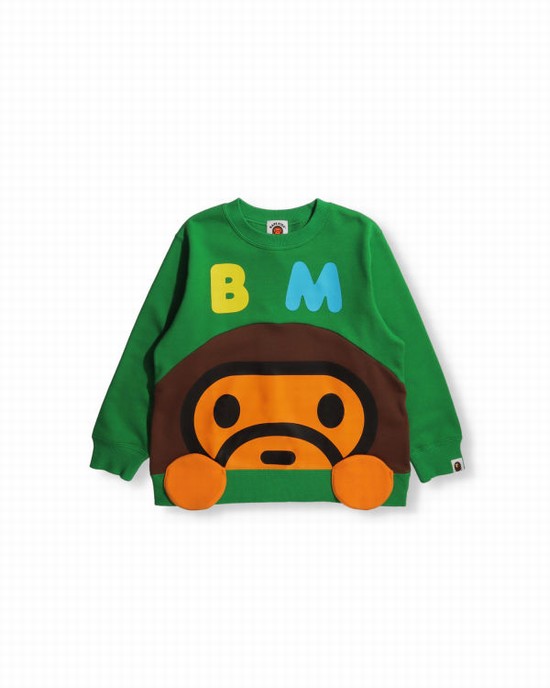 Hanorace Bape Milo crew neck Copii Turcoaz | JFTONZ673