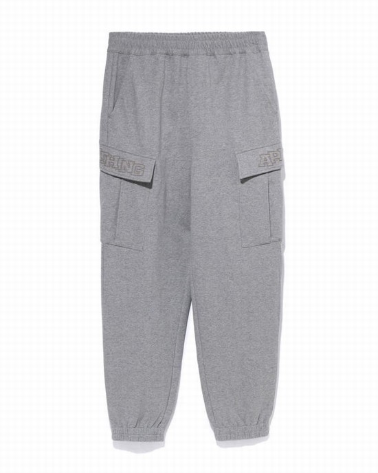Pantaloni De Trening Bape 6 Pocket Relaxed Fit Barbati Gri | AHZBNL493